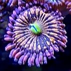 20200915_134312.jpg