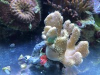 IMG_3018.jpg