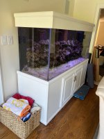 Fish Tank - 250 gallons2.jpg