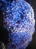 0908202053.jpg