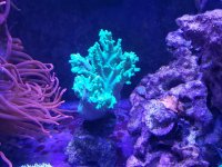 20200913_160457.jpg
