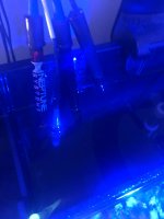 IMG_3969.jpeg