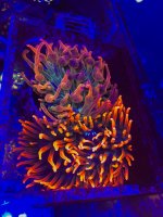 B5948B62-C607-4972-8FFF-EC74AF7EE7E7.jpeg