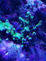 20200928_160356.jpg
