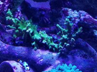 20200928_160848.jpg