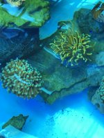 2D53789A-7FD9-4C73-9D16-15DA6DA5DE33.jpeg