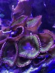 E0724325-7370-4544-A3D6-8B0D9575DEA1.jpeg