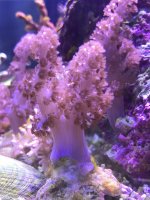 3599C27D-2F9D-4021-B192-CE0FD56DE1C4.jpeg