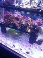 20201001_211436.jpg