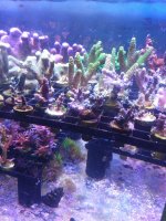20201001_211441.jpg