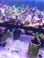 20201001_211502.jpg