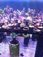 20201001_211509.jpg