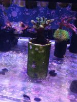 20201001_211518.jpg