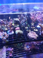 20201001_211532.jpg