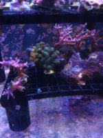 20201001_211602.jpg