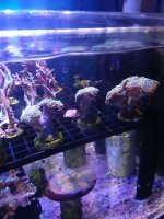 20201001_211541.jpg