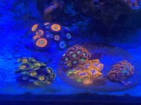B84057D0-DF0B-4765-826B-04F5143F3F23.jpeg