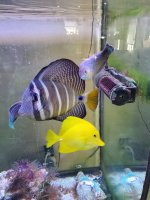 20201004_085617.jpg