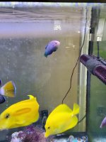 20201004_085619.jpg