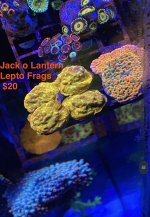 609EACAA-A543-4F3B-8A14-0EBFCEE2C962.jpeg