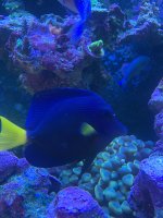 3D52850A-365D-4010-8B65-9A1964DAEF46.jpeg