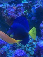 D82CF7AB-E437-4A72-9452-F77BFE52EFE1.jpeg