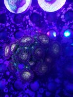 20201007_215821.jpg