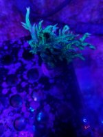 20201007_215841.jpg