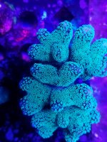 20201007_215904.jpg