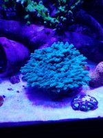 20201007_220219.jpg