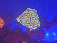 20201007_175745.jpg
