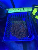 IMG_3402.jpeg