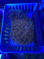 IMG_3401.jpeg
