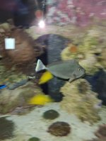 20201010_110526_resized.jpg