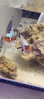 20201011_175723.jpg
