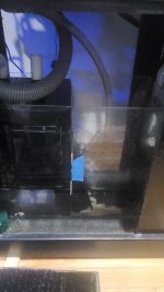 F18688F2-D069-4353-A033-8F3F9049BBAE.jpeg