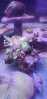 20201005_002755.jpg