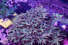 20201012_111018.jpg
