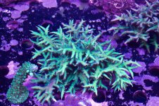 20201012_111055.jpg