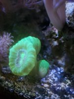 20201014_170958.jpg