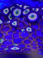 69579506-041D-43F4-91C0-5580B692FF42.jpeg