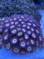 90AB3B51-E6DA-433C-BF85-52C03D74EF06.jpeg