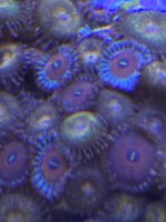 559ABAFC-5B1D-486B-A5E4-18D433EDE423.jpeg