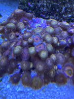 6A41074D-732D-4047-8B9E-657377E2235E.jpeg