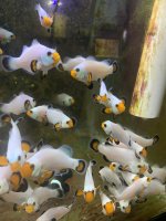 IMG_2828 2.jpg
