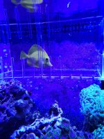 20201016_175632_resized.jpg