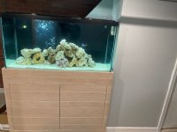 IMG_1280.jpg