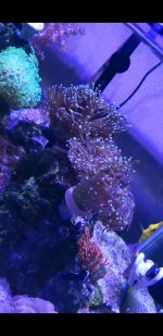 Screenshot_20201021-134939_Gallery.jpg