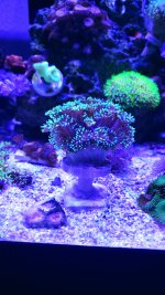 20200817_101238.jpg
