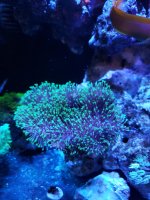 20201021_191005.jpg
